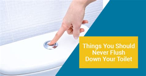 10 Things You Should Never Flush Down Your Toilet Drain King Plumbers