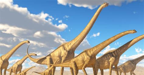 Titanosaurio Así Eran Las Crías Del Dinosaurio Más Grande Conocido