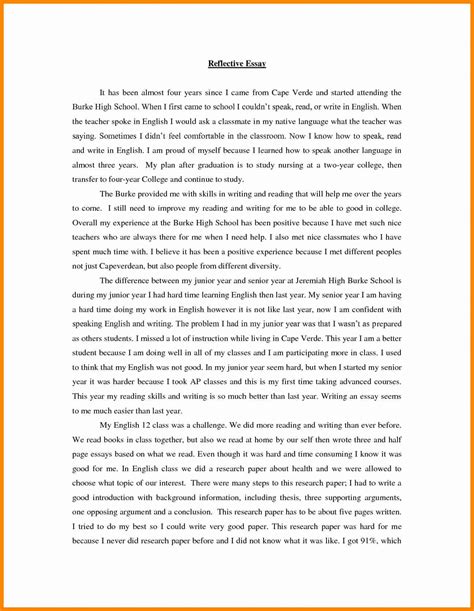 Example Of Reflection Paper On A Class Reflection Paper The Little