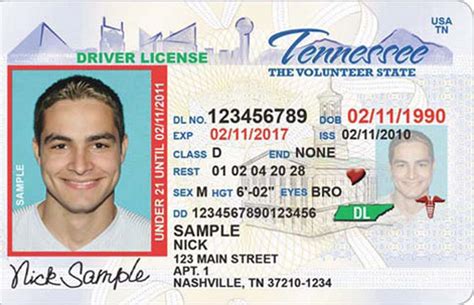 Tn Dos Drivers License Rules Driving Guide