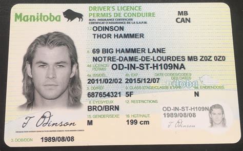 Id uk. Driver License. Driver License ID.