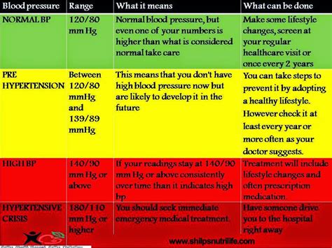 Diet What It Really Means Understanding Blood Pressure