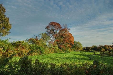 Late Day Pasture Autumn Views Photograph By Andrea Swiedler Fine Art