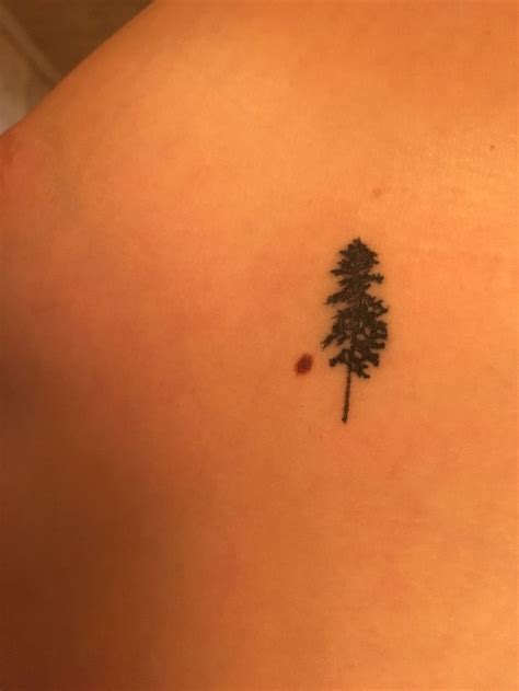 Tiny Pine Tree Tattoo By Dogstar Tattoo Of Durham Nc Tree Tattoo