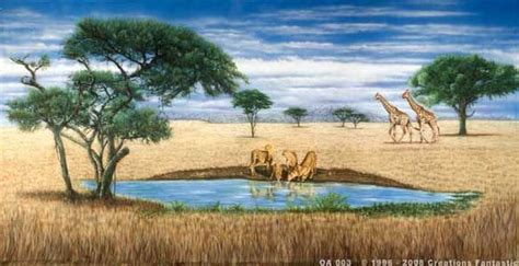 African Savanna What Is A Savanna Pets Lovers