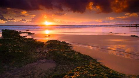 Golden Light Sea Sunset Free Live Wallpaper Live