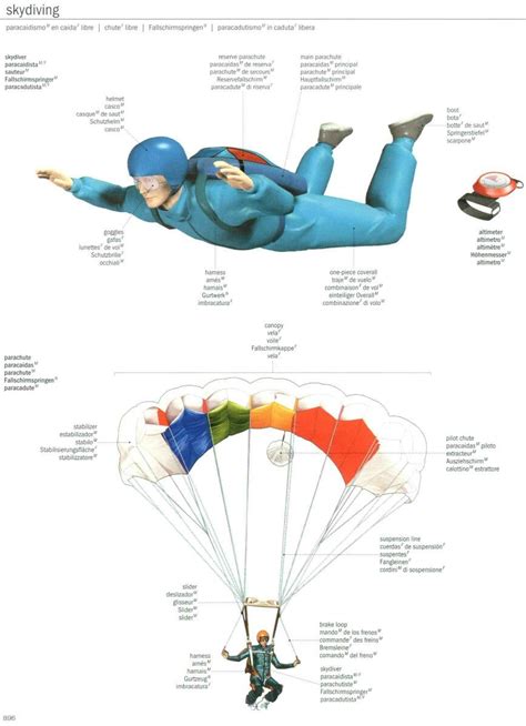 Sky Diving Skydiving Paragliding Snow Skiing
