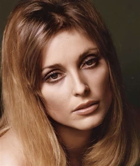 Life Is Beautiful Absolutely Gorgeous S Icons Sharon Tate Classic