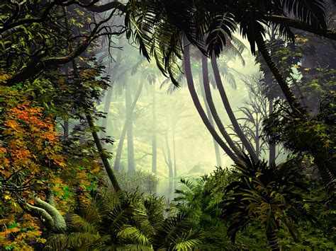 Wallpaper Palm Trees Trees Jungle Fog Hd Widescreen High