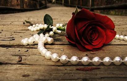 Pearls Rose Roses Romantic Desktop