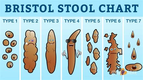 Bristol Stool Chart What Your Poop Says About Health Mama Natural
