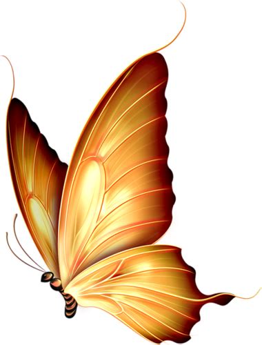 Download Autumn Gold Beautiful Yellow Butterfly Png Full Size Png