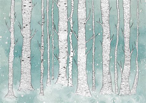 Royalty Free Silver Birch Tree Clip Art Vector Images And Illustrations
