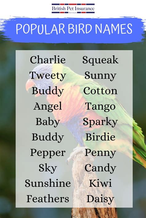 A Colorful Bird Sitting On Top Of A Tree Branch With The Words Popular Bird Names Below It