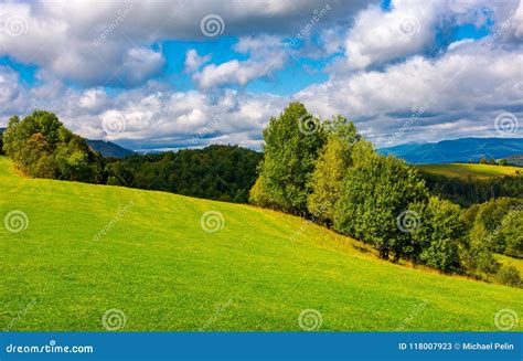 Beautiful Grassy Meadow On Hillside In Mountains Stock Image Image Of