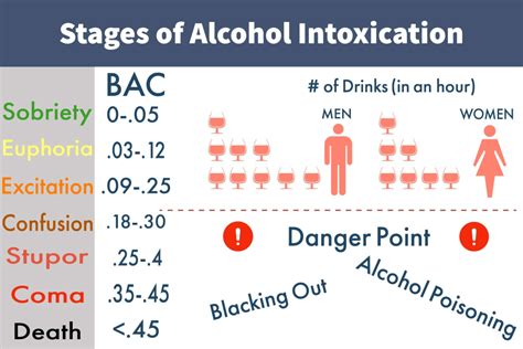 Stages Of Alcohol Intoxication Alcohol Toxicity Treatment Eco Sober Houses