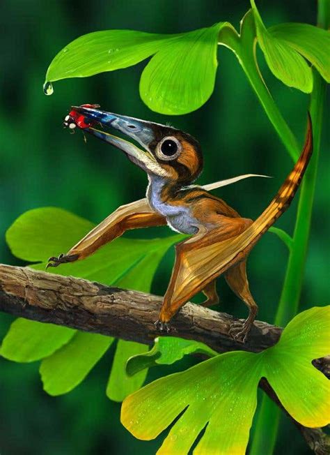 Tiny Perching Pterosaur Discovered New Scientist