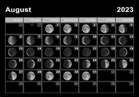 Agosto Calendario Lunar Ciclos Lunares Fases Lunares Foto Premium
