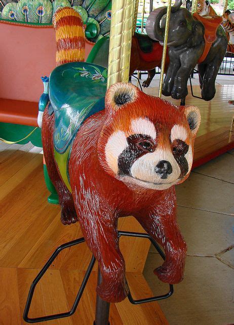 Red Panda Carousel Animal At The Akron Zoo Painted Pony Carosel