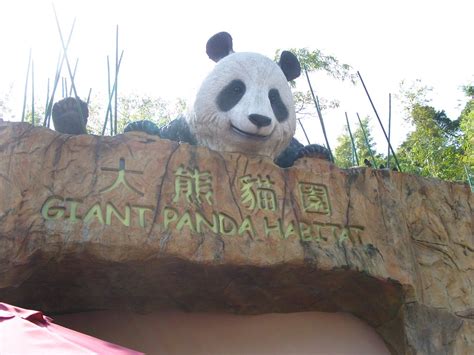 Giant Panda Habitat Entrance To The Giant Panda Exhibit