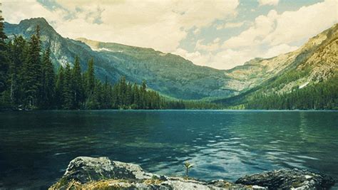Download them for free, send them to friends or embed them on your website. Monfreakintana - Cinemagraph | Relaxing gif, Scenery, Nature