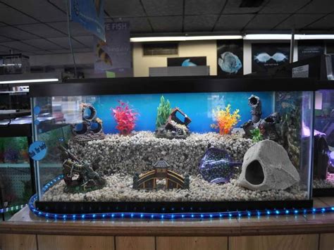 Model akuarium unik yang satu ini bisa mengubah tampilan ruangan dengan desain aquarium unik yang cocok untuk dekorasi rumah. Hiasan Aquarium Unik dan Keren Sekarang Ini