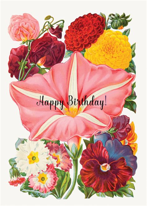Happy Birthday Flowers 5 X 7 Greeting Card P Flynn Design