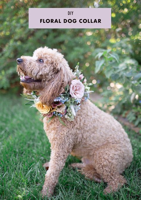 Diy Floral Dog Collar Green Wedding Shoes