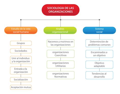 Sociologia Jmd Mapa Conceptual Sociologia De Las Organizaciones My