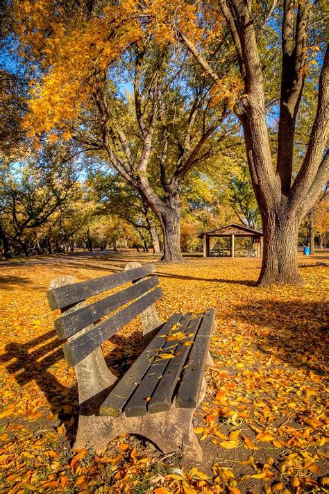 Fall Park Bench Photograph By Mike Oistad