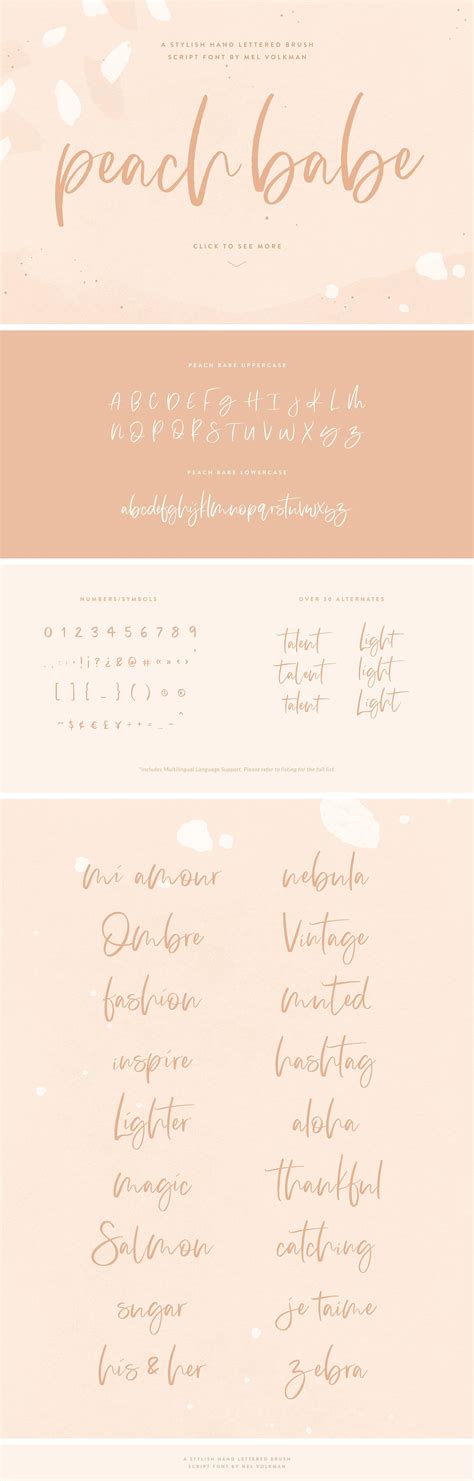 Peach Babe Hand Lettered Brush Font Lettering Hand Lettering