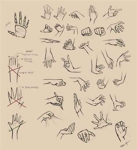 Hands Reference I By Ninjatic On Deviantart