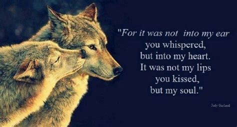 Pin By Robert Romahn On All Wolves Photos Wolf Quotes Wolf Cry Wolf