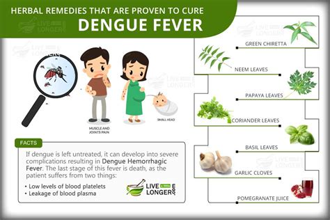 Dengue fever is most common in southeast asia, the western pacific islands, latin america and africa. Billi is down with Chikungunya. Let's know all about ...