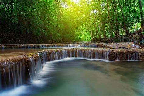 Calming Overlapping Forest Falls Trees Waterfalls Forests Rivers