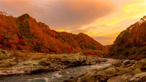 River Between Rocks Surrounded By Colorful Autumn Leafed Trees Covered