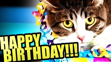 Other signs are the daycare if clean, children are happy, and the parents are welcome at. HAPPY BIRTHDAY SWINGPOYNT! + Larry The Cat Health Update ...