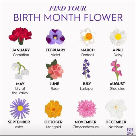 Each month's colour and flower has its own meaning, with those born in the month of april represented by the fiery and energetic cayenne colour, while may know your signs: Pin by Haley Hazen on Positive Images | Birth month ...