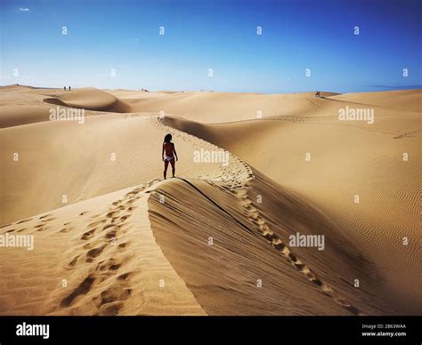 Natural Reserve Of Dunes Of Maspalomas In Gran Canaria Spain Stock