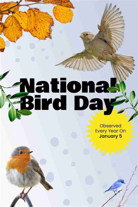 National Bird Day January 5 Pinterest Posts Design Templates