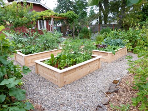 Love These Raised Beds Im Thinking The Gravel Might Be A Wee Bit