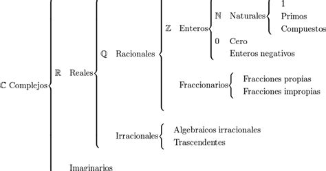 Clasificación De Los Números Tipos De Números