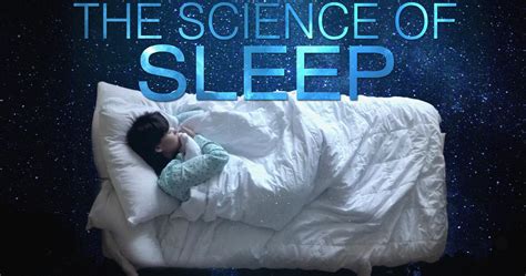 The Science Of Sleep Tvf International