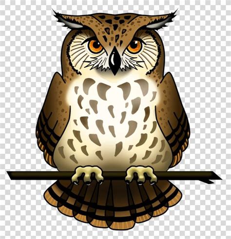 Owl Clip Art Owl Png Owl Alpha Compositing Barred Owl Beak Bird