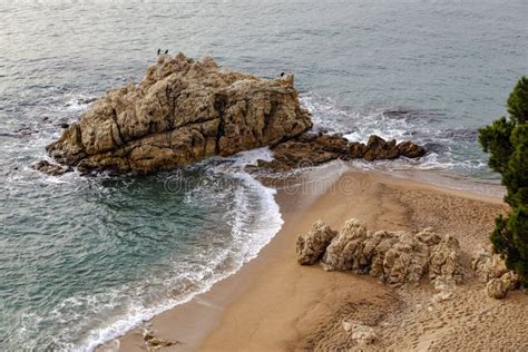 Calella De Palafrugell Girona Spain Coast Landscape At The Costa