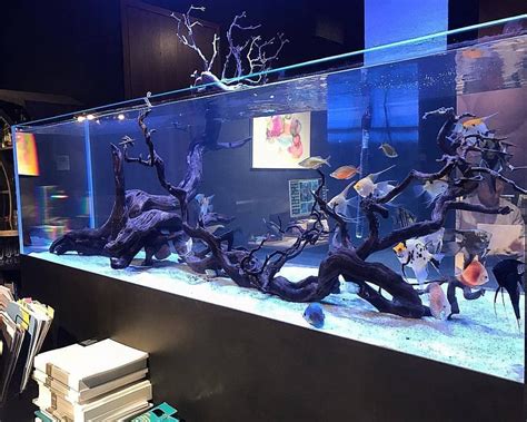 Open Top Freshwater Aquarium Designed And Built By Okeanosgroup