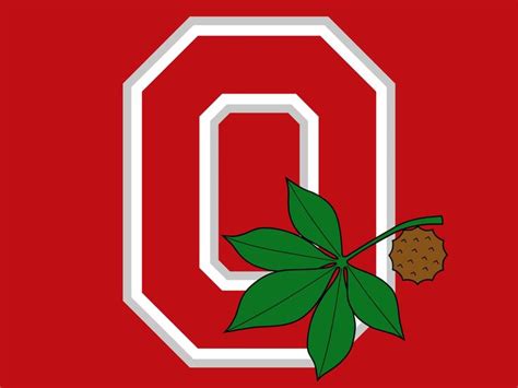 Logos of universities and colleges in ohio. NCAA Logos | Ohio state logo, Ohio state, Ohio state buckeyes