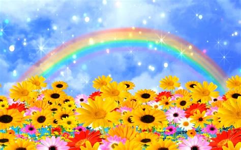 Flowers And Rainbow Art Flowers Rainbow Sky Hd Wallpaper Peakpx