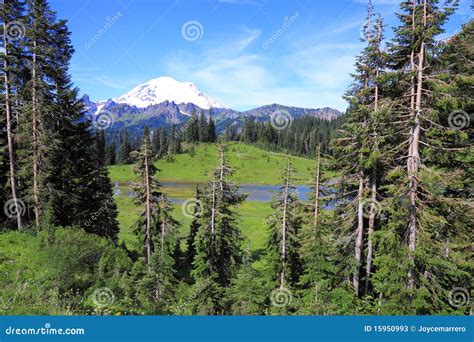 Mount Rainier Stock Image Image Of Remote Landscape 15950993