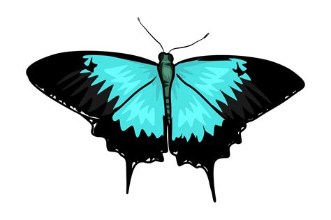 Butterfly Illustrations Graphic By Graphicrun123 · Creative Fabrica